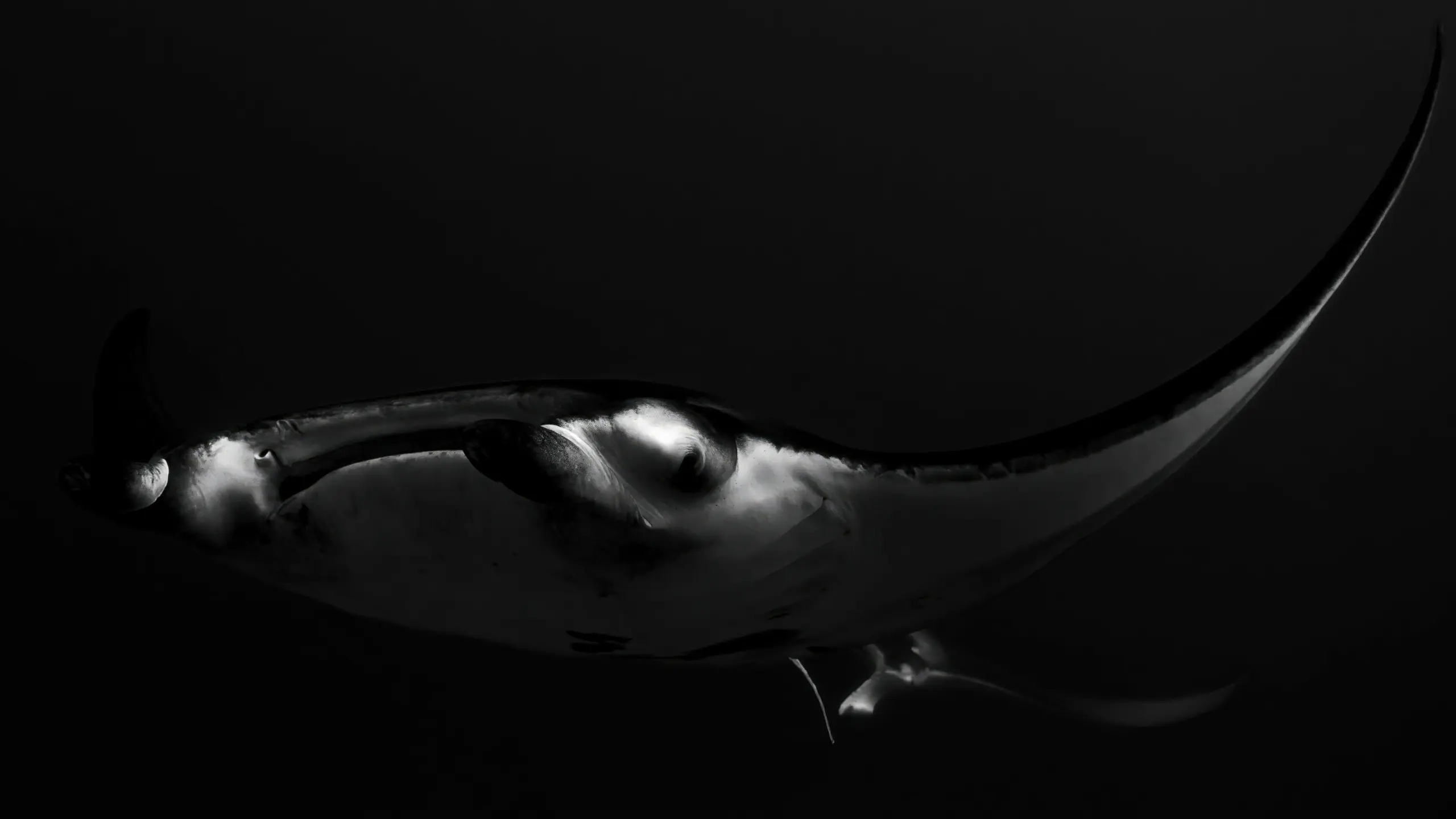 OneArtPix — Fine Art Photography